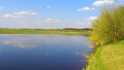 Вихідні на березі Турії: Від історії до відпочинку