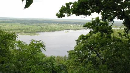 Ландшафтний заказник «Скулинський»